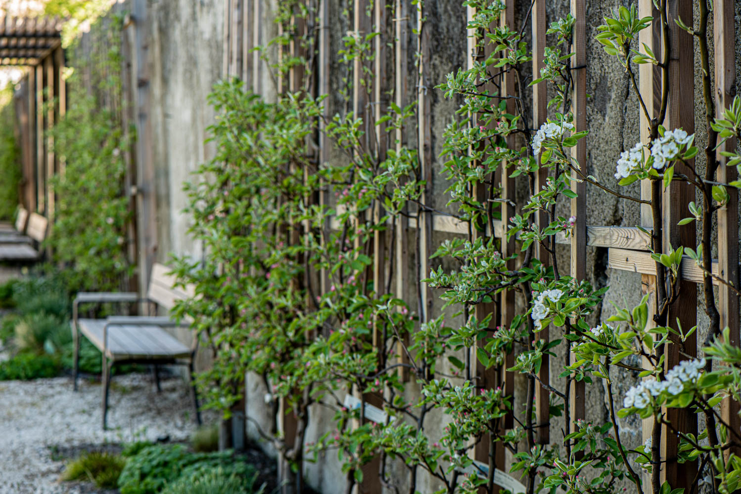 04_ph.jaidermartina-32