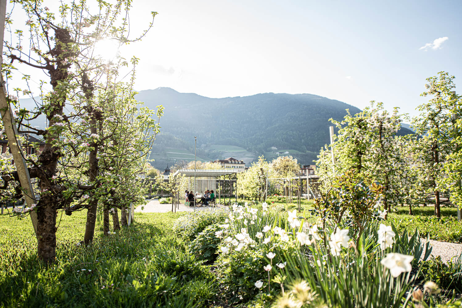 04_ph.jaidermartina-43