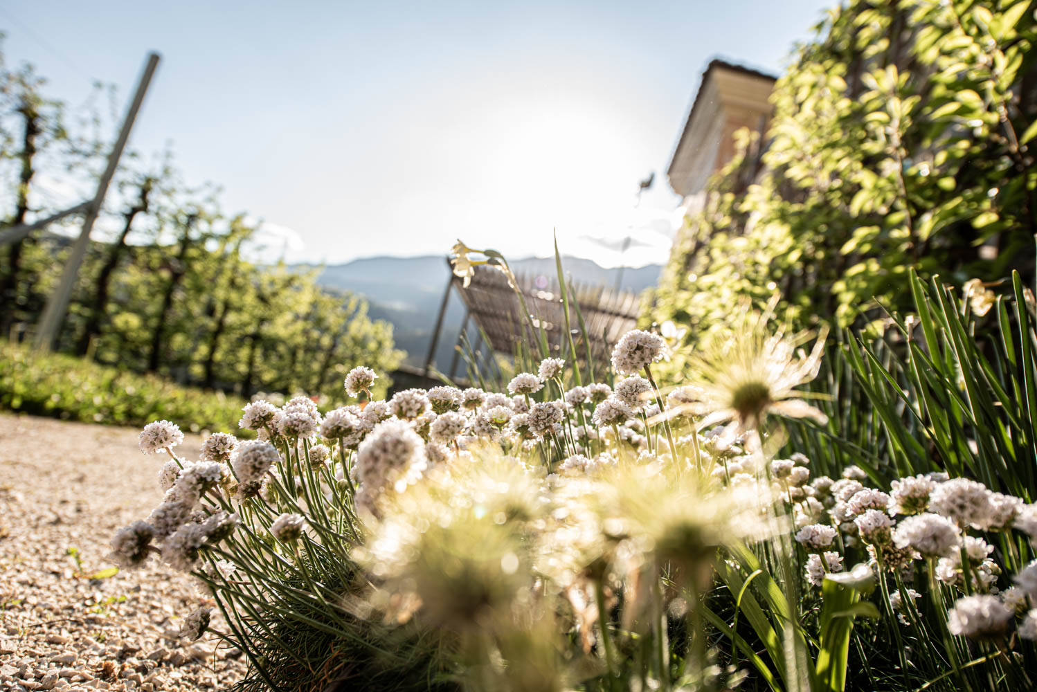 04_ph.jaidermartina-49