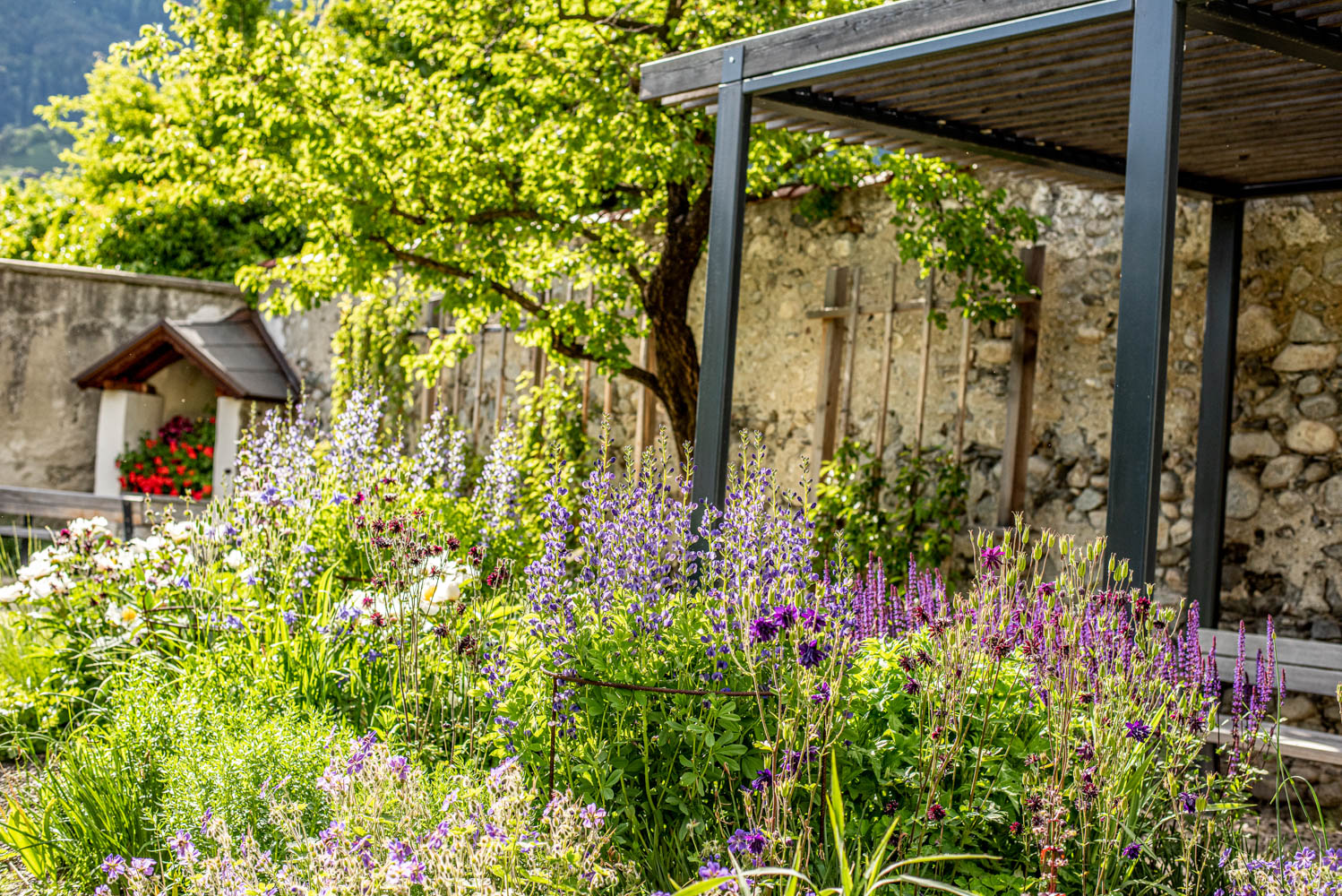 _04_ph_jaidermartina-13