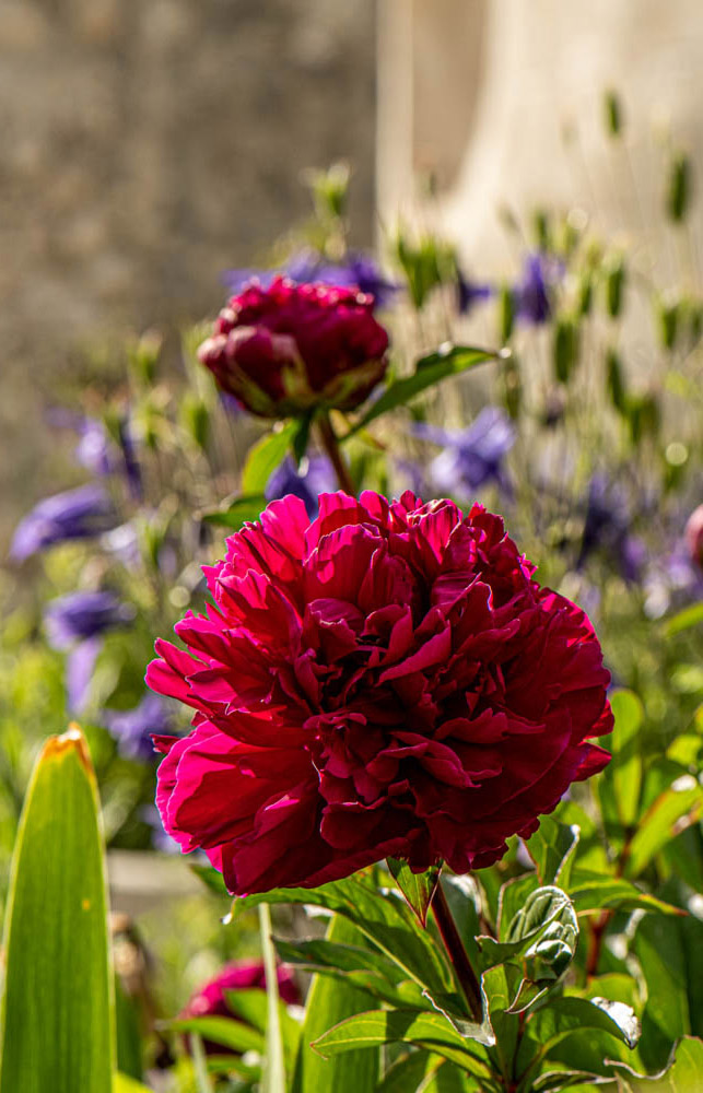 04_ph_jaidermartina-50