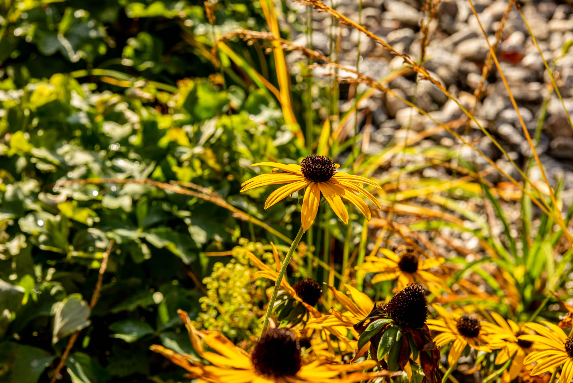 _05_ph_jaidermartina-162