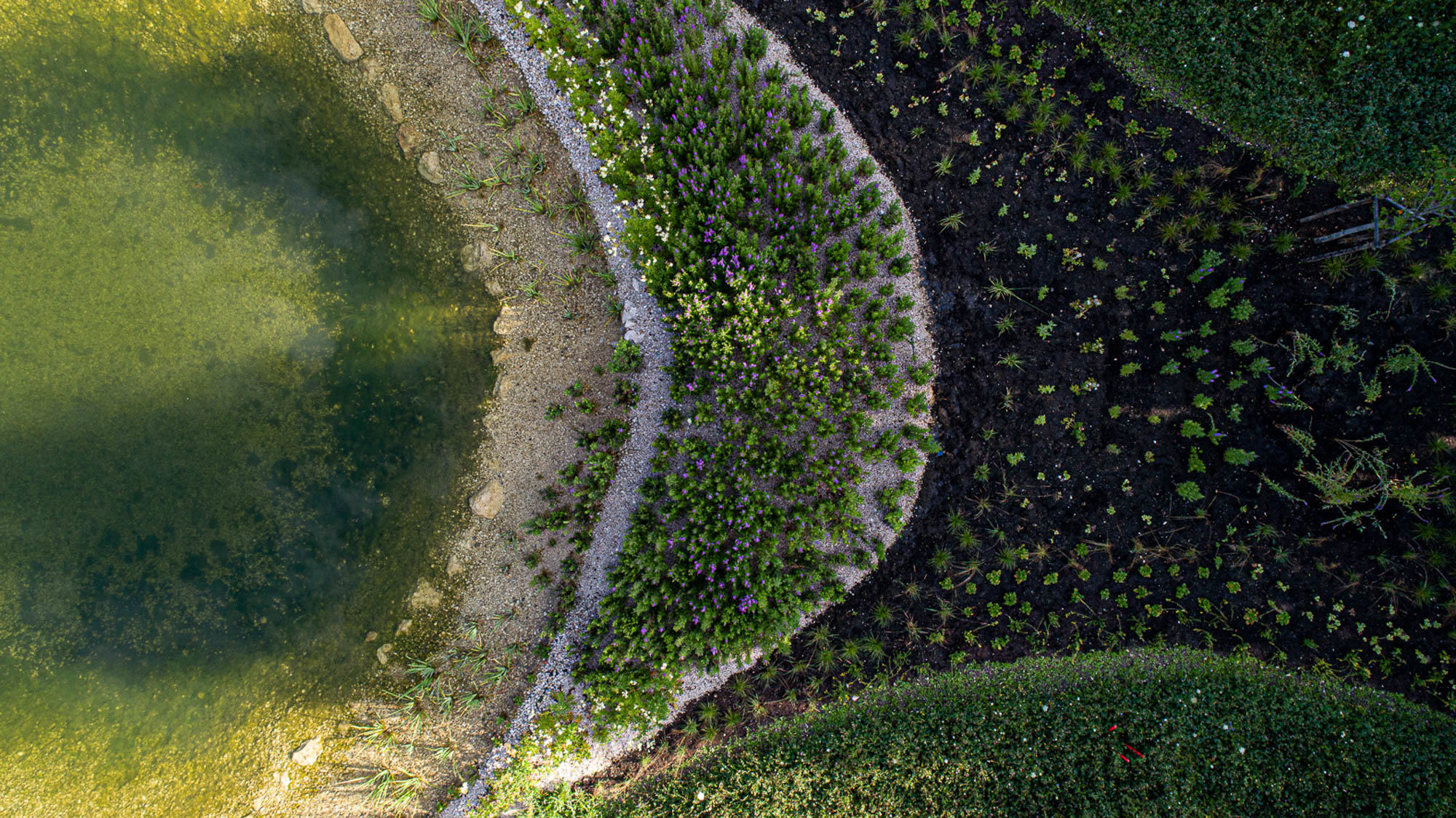 _10_ph.jaidermartina-147