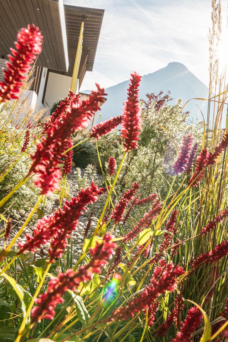 ph_jaidermartina-112