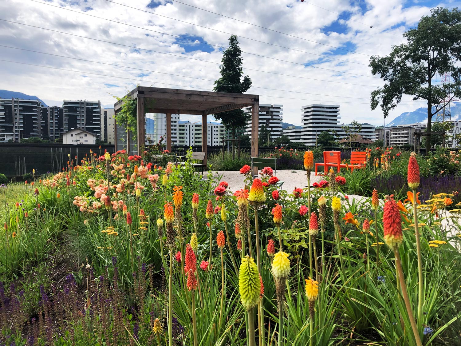 mediterranean-Frühling-2