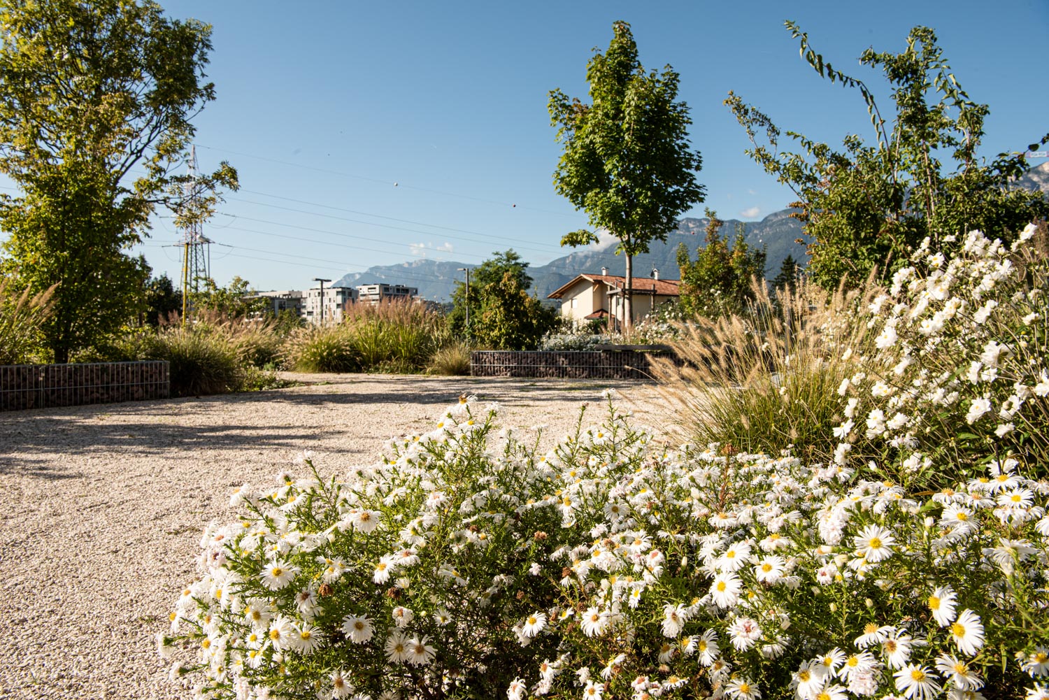 ph_jaidermartina_garten_krankenhaus-4