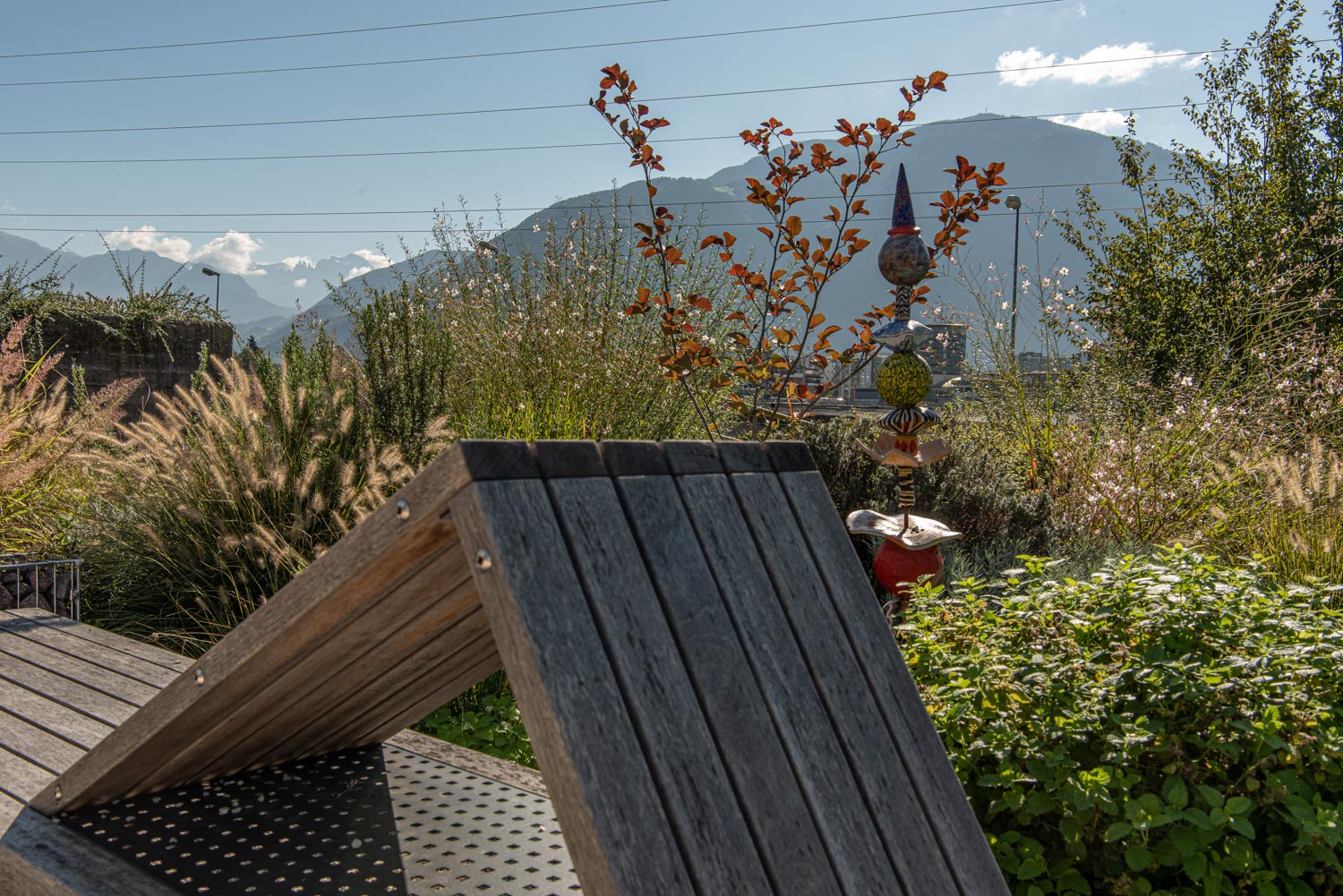 ph_jaidermartina_garten_krankenhaus-43