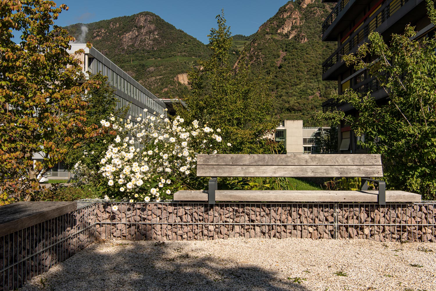 ph_jaidermartina_garten_krankenhaus-47