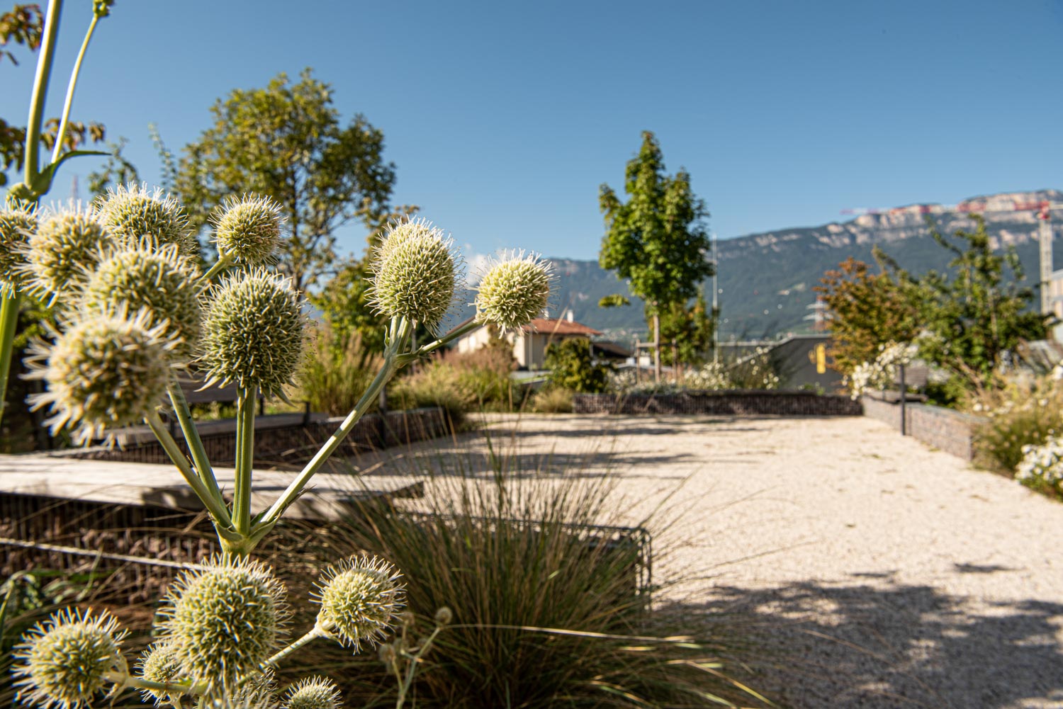 ph_jaidermartina_garten_krankenhaus-5