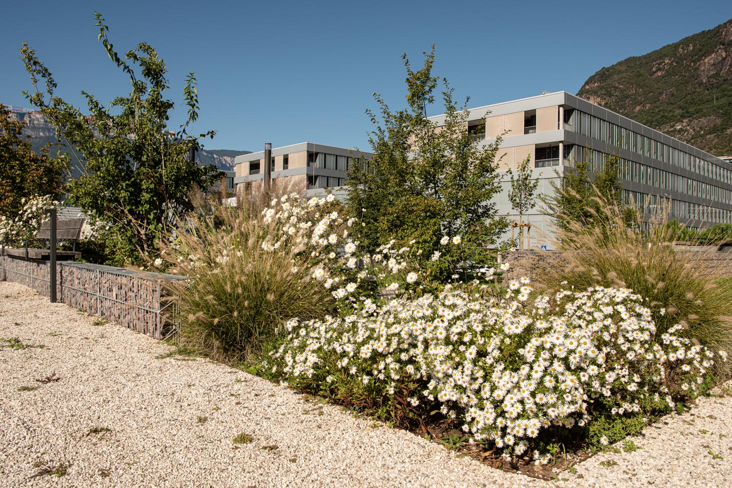 ph_jaidermartina_garten_krankenhaus-52